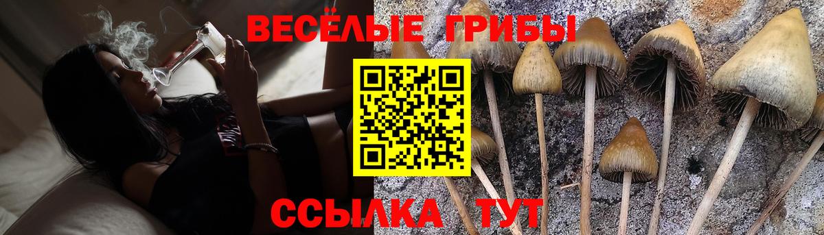 Барабинск  Псилоцибиновые грибы GOLDEN TEACHER  Вход с VPN 